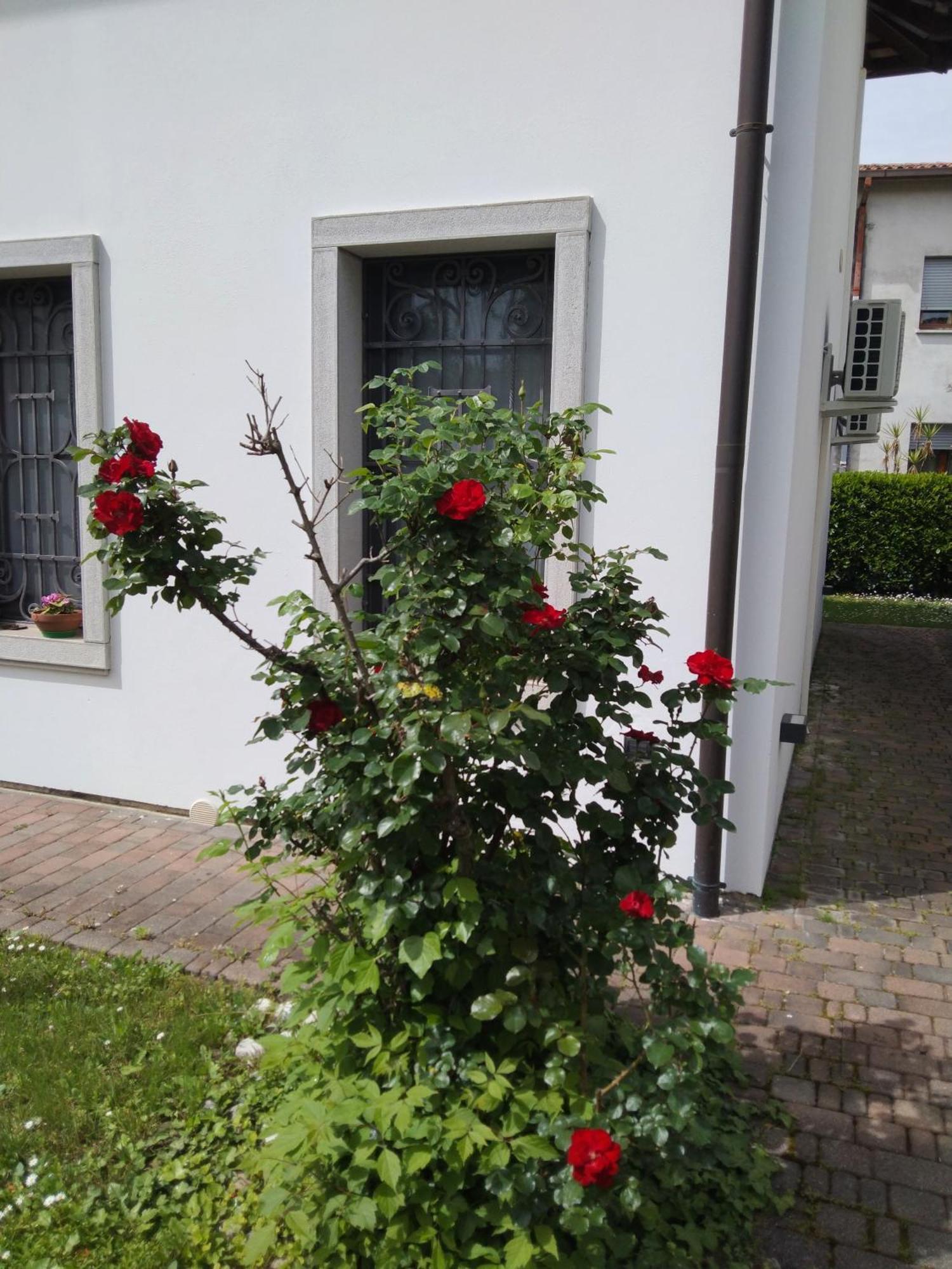 Casa de hóspedes Coccinella *